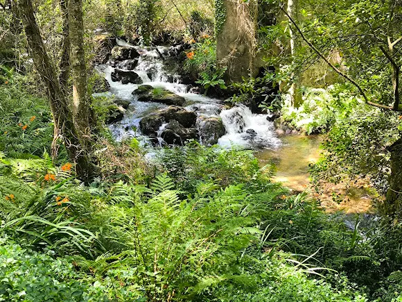 Pabellón Ponteceso - Ponteceso
