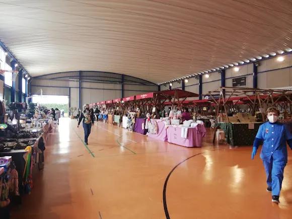 Polideportivo Municipal de Coaña / Cuaña - Navia