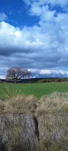 Arauzo de Miel - Arauzo de Miel