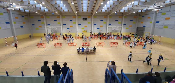Polideportivo "Los Nogales" - Roa