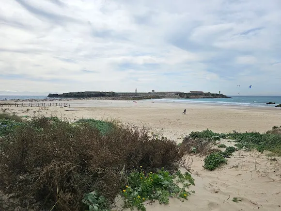 Polideportivo Municipal - Tarifa