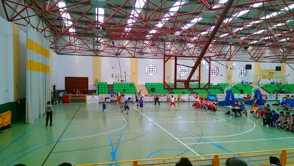 Pabellón Polideportivo Municipal de Daimiel. - Daimiel