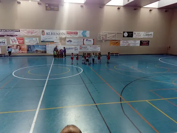 Polideportivo Municipal Alhendín - Alhendin