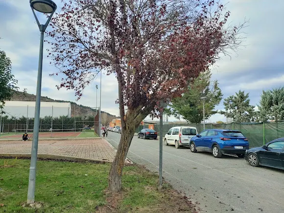 Complejo polideportivo - Falces