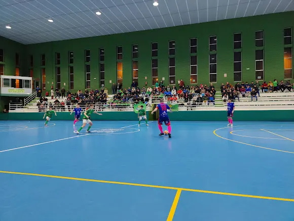Pabellón Municipal de Deportes - Alba de Tormes