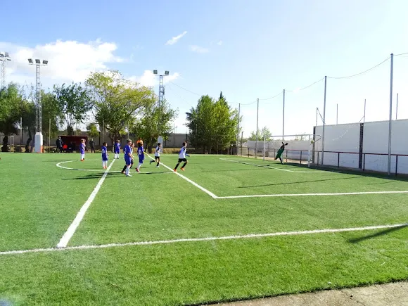 Polideportivo Municipal Ceferino Gil Arenas - Carrion de los Cespedes