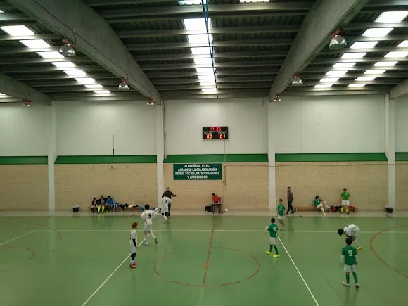 Polideportivo Ariño - Arino