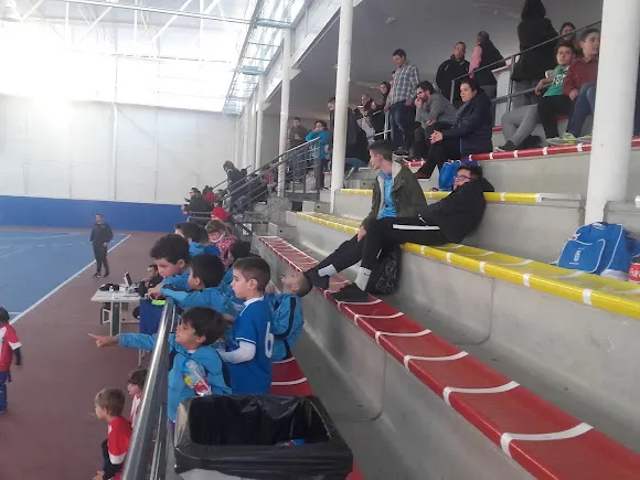 PABELLÓN POLIDEPORTIVO MUNICIPAL de El Carpio de Tajo. - El Carpio de Tajo