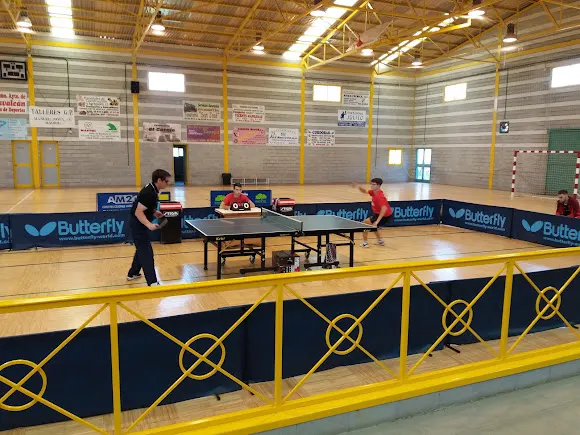 Pabellón Polideportivo de Navalcán - El Puente del Arzobispo