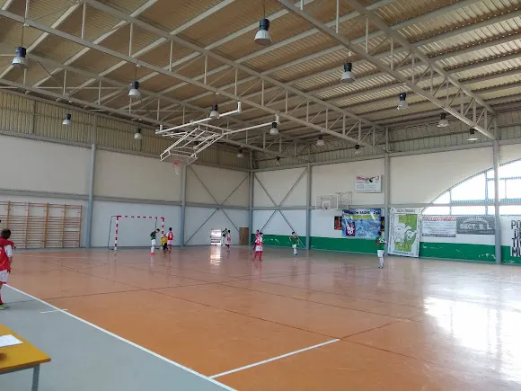 Pabellón Deportivo Municipal de Lillo. - Lillo
