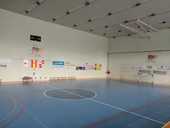 Polideportivo Municipal Lope De Vega - Olmedo