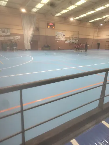 Polideportivo municipal Portillo - Portillo
