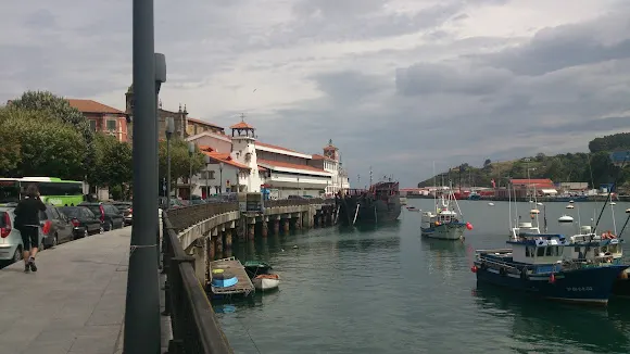 Artza Udal Frontoia - Bermeo